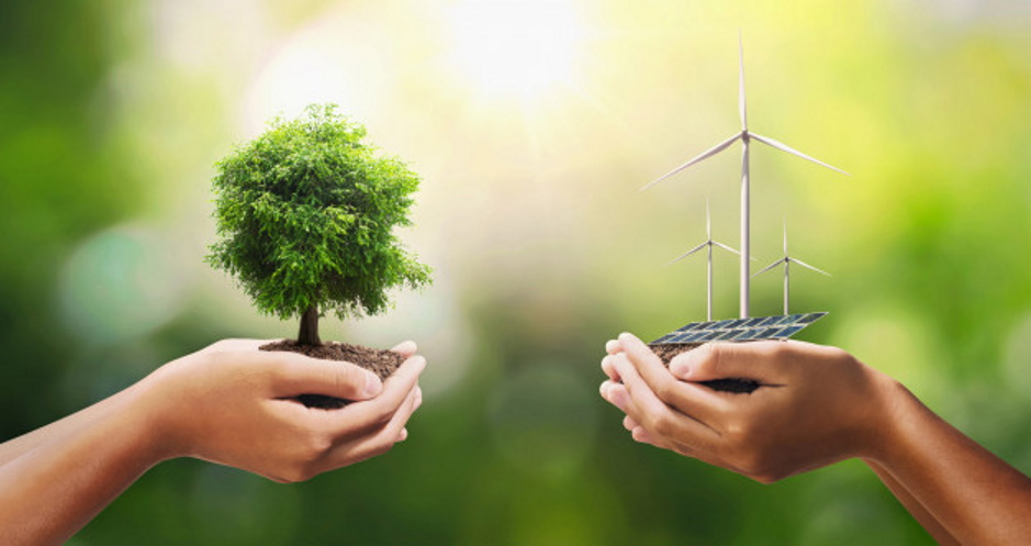 Wady i zalety odnawialnych źródeł energii | Blog Ekoradców